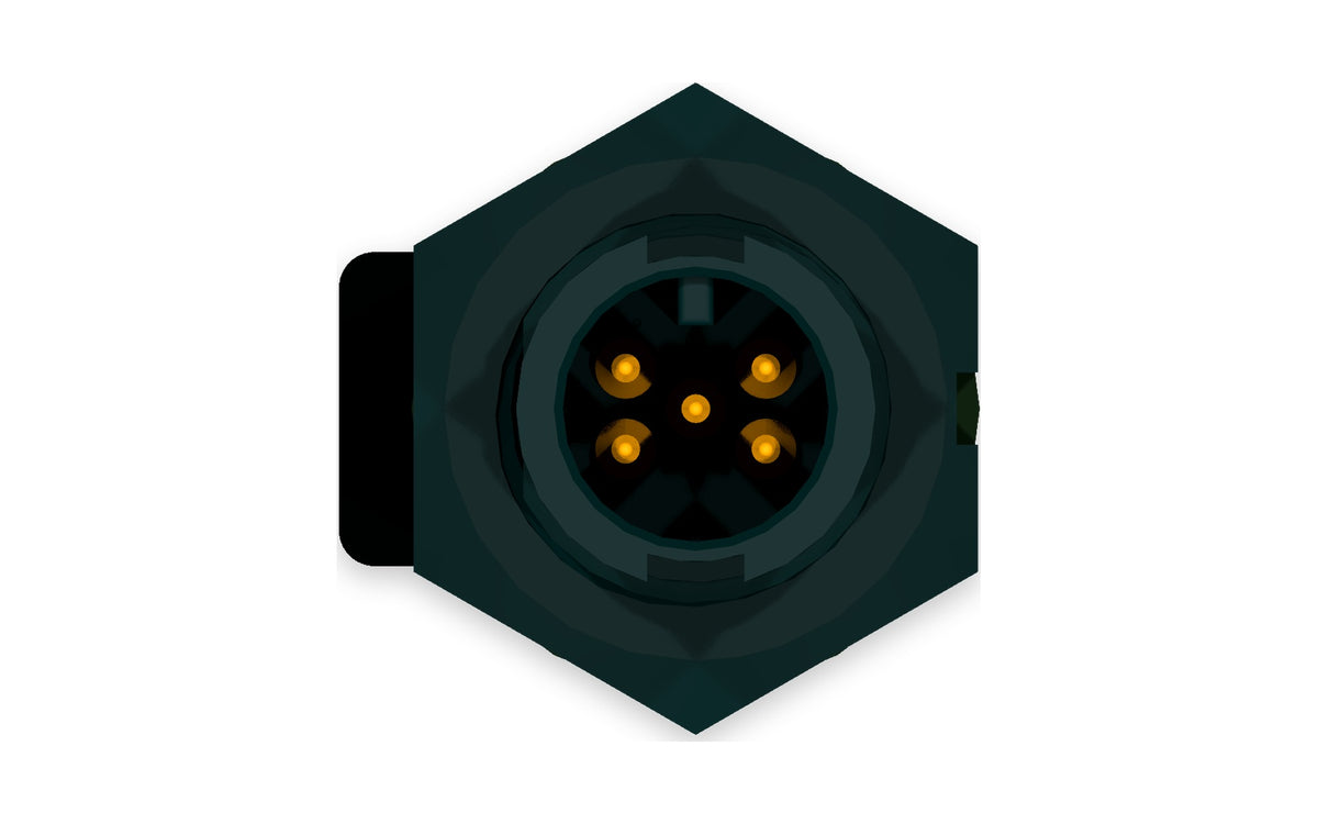 GT footpad plug, connector face